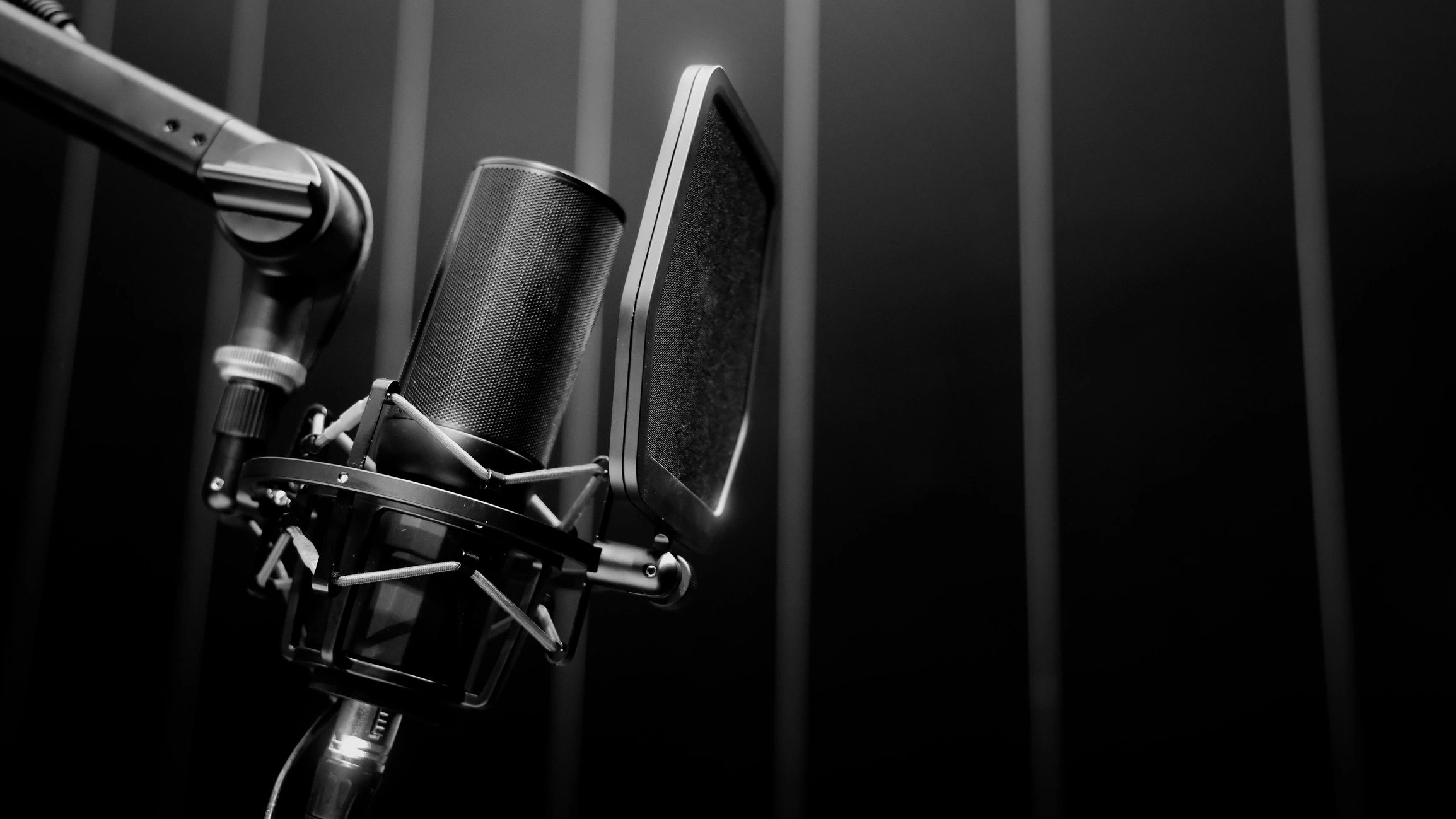 Professional studio microphone with pop filter
